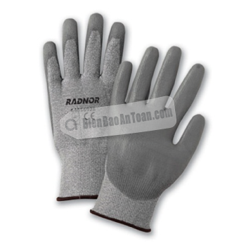 RADNOR-56927