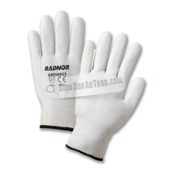 RADNOR-56922