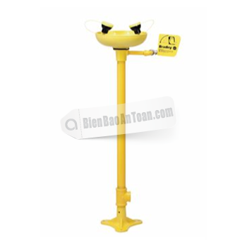 Thiết bị rửa mặt S19-210WF