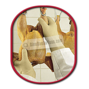 Cao su thự nhiên Best-VMUL